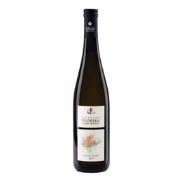 Picture of Domaine Florian Rondo Blanc 750ml (2017), White Dry