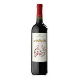 Picture of Domaine Costa Lazaridi Amethystos 750ml (2019), Red Dry