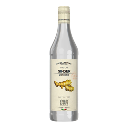 Εικόνα της ODK Σιρόπι Ginger 750ml