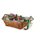Picture of Package No 020 | Wicker Basket (50cm x 35cm x 17,5cm)