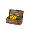 Picture of Package No 141 | Wooden Chest (36cm x 16,5cm x 15cm)