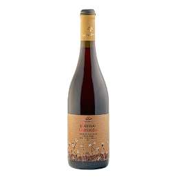 Picture of Douloufakis Winery Amphora Liatiko
 750ml (2019), Red Dry